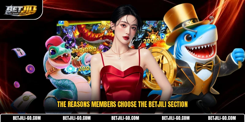 The reasons members choose the BETJILI section
